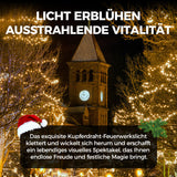 LichtPlezier™ Stralende Kerstversiering