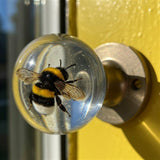 ResinGriffen™ Verfraai je deur met kunst