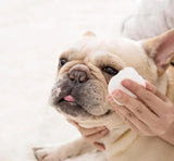 HuisdierDoekje™ Antibacteriële Dierenwipes