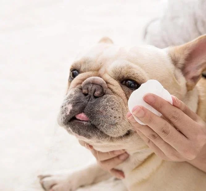 HuisdierDoekje™ Antibacteriële Dierenwipes