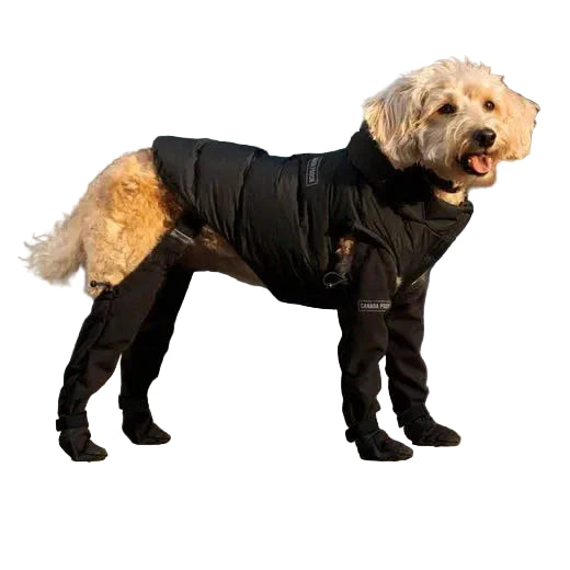 Honden Schoenen met Bevestigingsband | Beschermende Pootjes Boots | Ademend & Verstelbaar