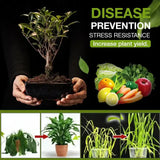 1 + 1 Gratis | SoilBoost™ Ontdek het geheim van een bloeiende tuin