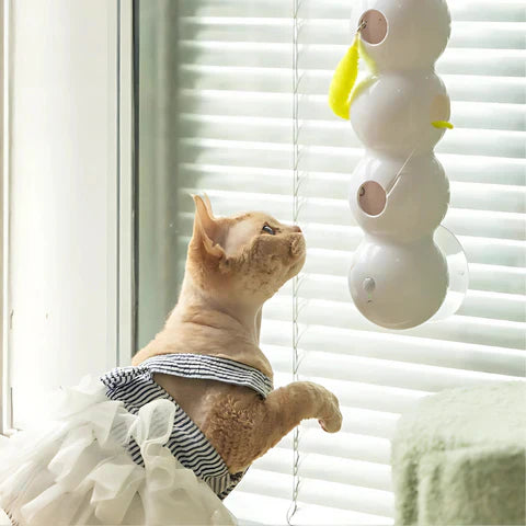 MiauwWurm™ Houdt Katten Vermaakt