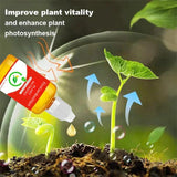 2+1 Gratis | WortelStijg™ Snellere Plantsherstel