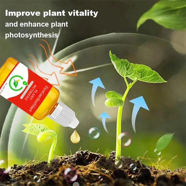 2+1 Gratis | WortelStijg™ Snellere Plantsherstel
