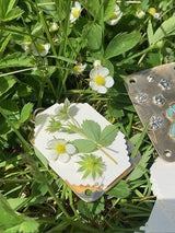 Mini Bloemenpers | Handgemaakt | Compact Formaat 35x50mm | Inclusief Herbarium Droogpapier