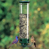 Vogelvoederhuis | Eekhoornvrij | 4 Voerpoorten | 5 lb Zaadcapaciteit