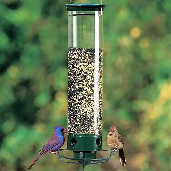 Vogelvoederhuis | Eekhoornvrij | 4 Voerpoorten | 5 lb Zaadcapaciteit