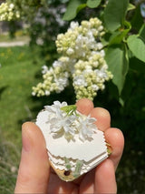 Mini Bloemenpers | Handgemaakt | Compact Formaat 35x50mm | Inclusief Herbarium Droogpapier