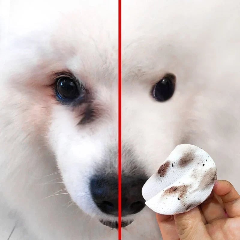 HuisdierDoekje™ Antibacteriële Dierenwipes