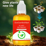 2+1 Gratis | WortelStijg™ Snellere Plantsherstel
