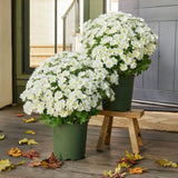 Kunstbloemen Chrysanten | UV-bestendig | Levensecht Design | Herfstdecoratie voor Veranda & Tuin