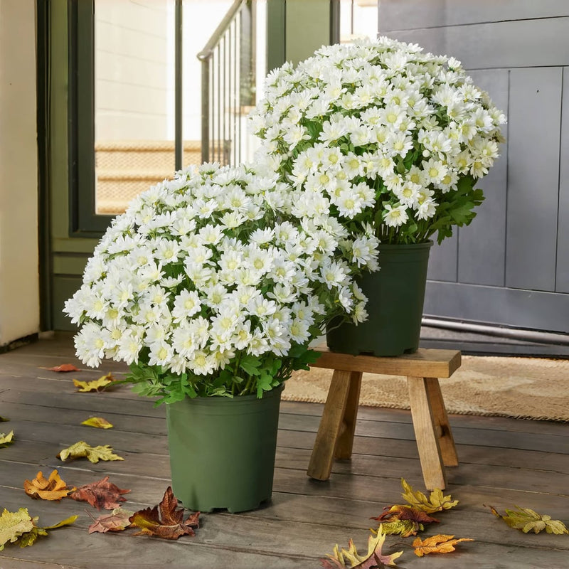Kunstbloemen Chrysanten | UV-bestendig | Levensecht Design | Herfstdecoratie voor Veranda & Tuin