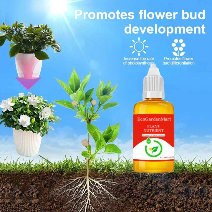2+1 Gratis | WortelStijg™ Snellere Plantsherstel
