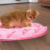 KlapSpeel™ Boeiend Katten Speel