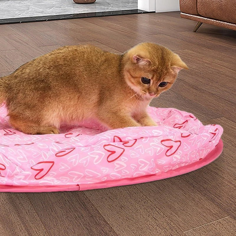 KlapSpeel™ Boeiend Katten Speel