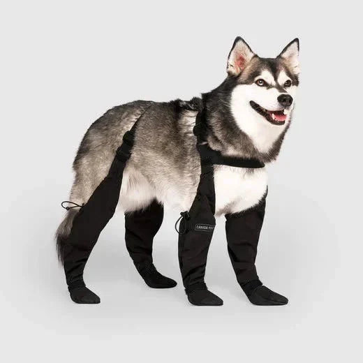 Honden Schoenen met Bevestigingsband | Beschermende Pootjes Boots | Ademend & Verstelbaar
