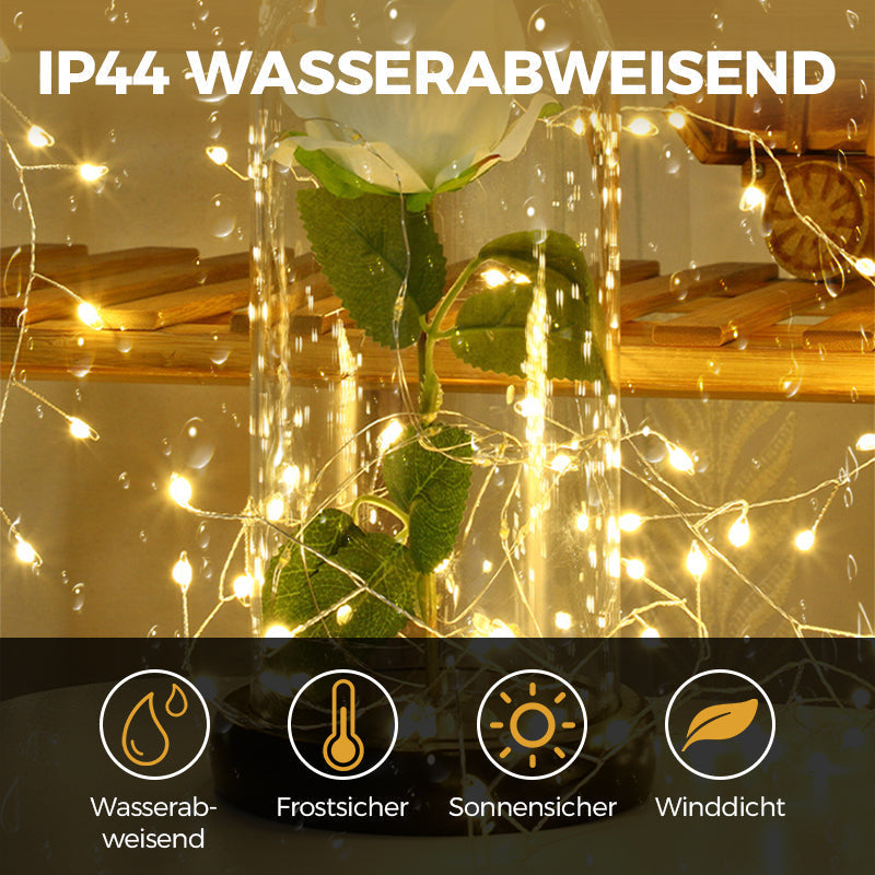 LichtPlezier™ Stralende Kerstversiering
