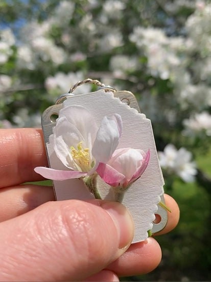 Mini Bloemenpers | Handgemaakt | Compact Formaat 35x50mm | Inclusief Herbarium Droogpapier