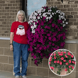Tuinornament | Levendige Bloemen Decoratie | Weerbestendig & Kleurrijk | Hars