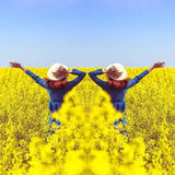 SpiegelLens™ Perfecte Symmetrie-opnames