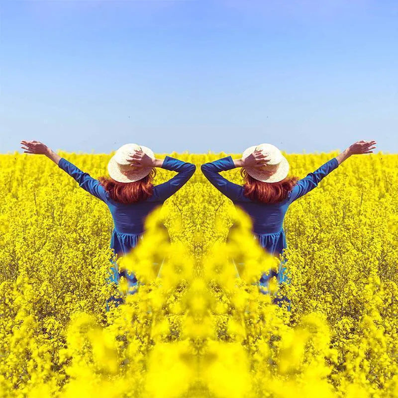 SpiegelLens™ Perfecte Symmetrie-opnames