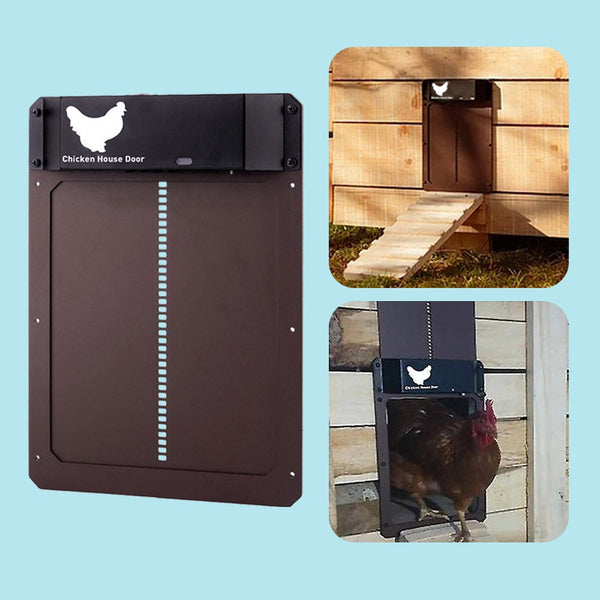ChickCoop™ Zorgeloze Kip Veiligheid
