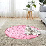 KlapSpeel™ Boeiend Katten Speel