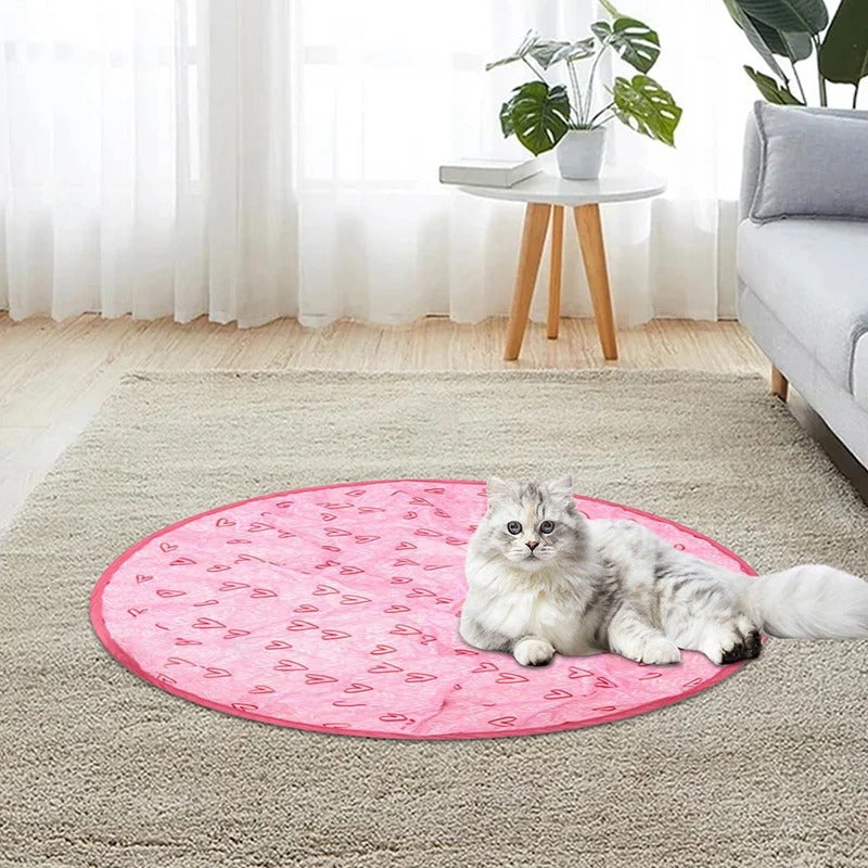 KlapSpeel™ Boeiend Katten Speel