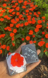 Mini Bloemenpers | Handgemaakt | Compact Formaat 35x50mm | Inclusief Herbarium Droogpapier