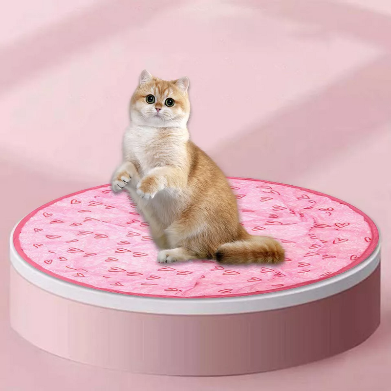 KlapSpeel™ Boeiend Katten Speel