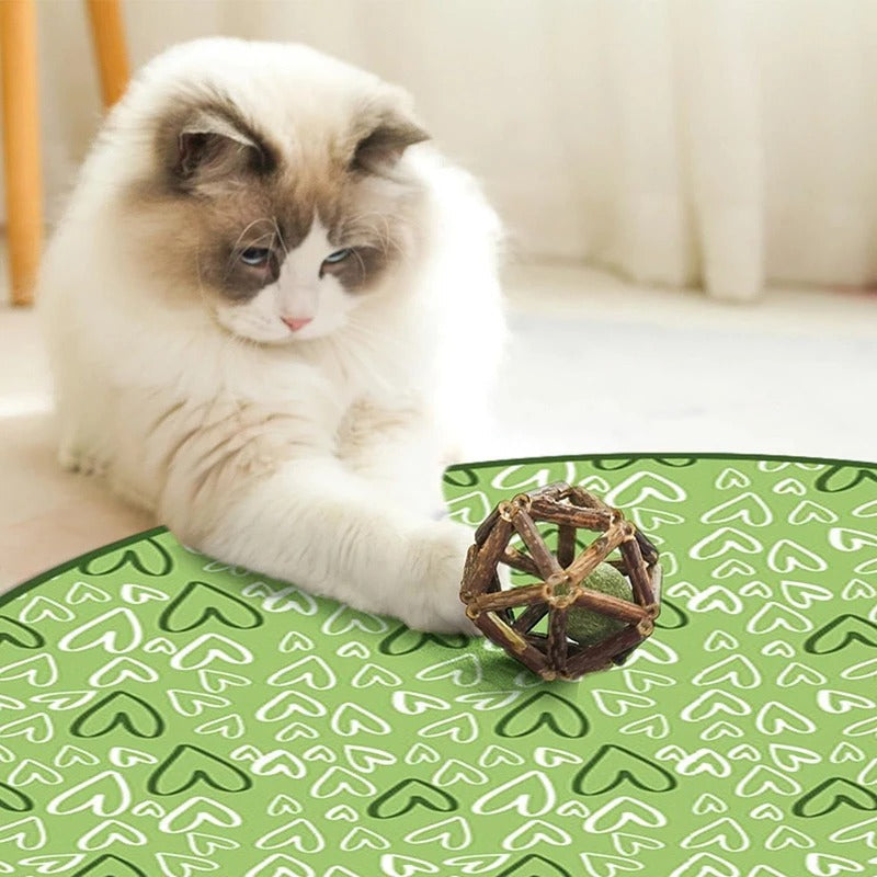 KlapSpeel™ Boeiend Katten Speel