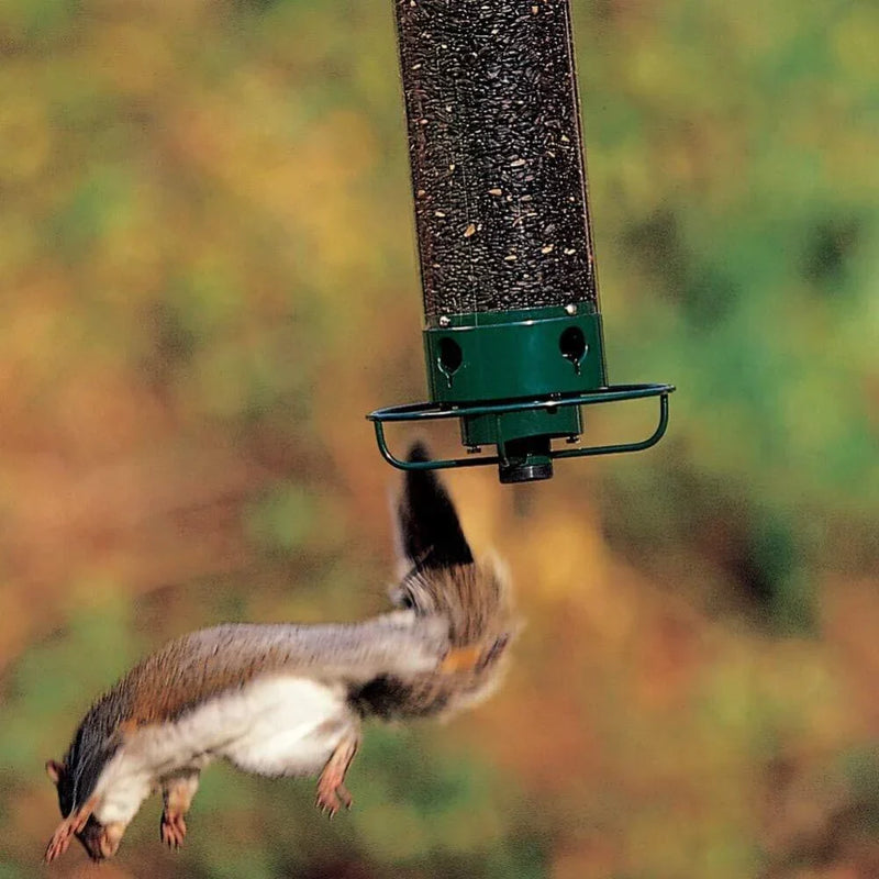 Vogelvoederhuis | Eekhoornvrij | 4 Voerpoorten | 5 lb Zaadcapaciteit