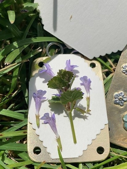 Mini Bloemenpers | Handgemaakt | Compact Formaat 35x50mm | Inclusief Herbarium Droogpapier