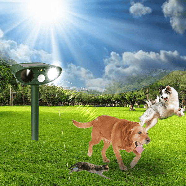 Ongediertebestrijding™ Zonne-energie Ongediertebestrijding