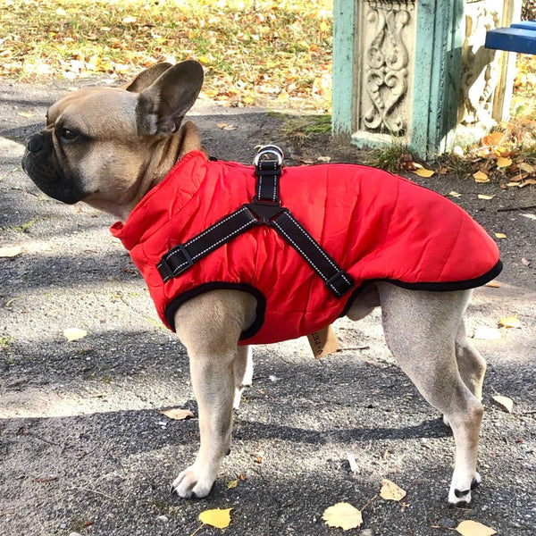 Jjing™ Winter Pufferjack voor Honden en Huisdieren (50% UIT)