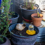 NectarNest™ Helpt dorstige bijen