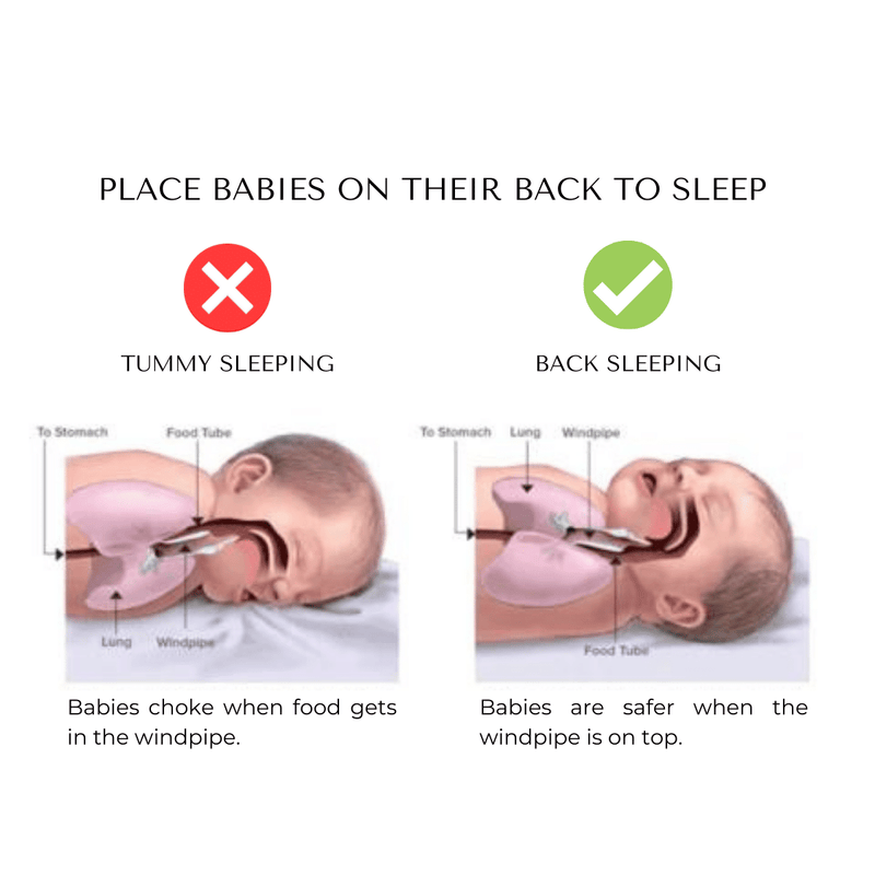 BabyNest™ Gezonde Neupport