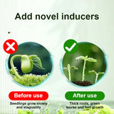 2+1 Gratis | WortelStijg™ Snellere Plantsherstel