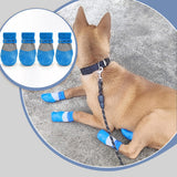 PootSchild™ Antislip Pootschoenen