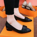 Riley™ Elegante Lage Hakken Schoenen