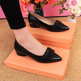 Riley™ Elegante Lage Hakken Schoenen
