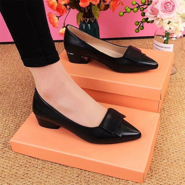 Riley™ Elegante Lage Hakken Schoenen