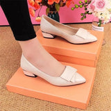 Riley™ Elegante Lage Hakken Schoenen